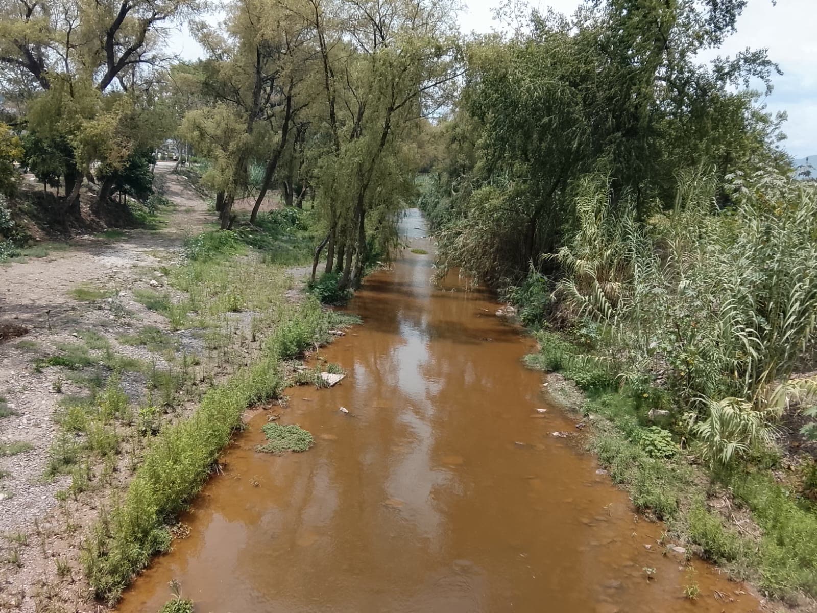 El río Mixteco entre árboles, a la orilla de Huajuapan